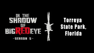 Bigfoot Research Expedition in Torreya State Park Florida Sasquatch In the Shadow of Big Red Eye [upl. by Aicssej]