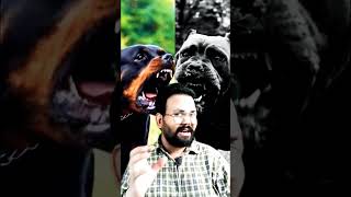 Cane Corso vs Rottweiler Full Comparison  🔥🔥 [upl. by Tj]