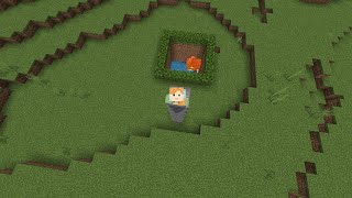 How to make iron farm in Minecraft bedrock edition minecraft [upl. by Meyers]