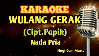 karaoke wulang gerakCiptPapik  Music Bery [upl. by Ninehc496]