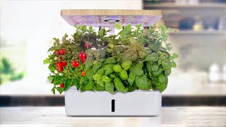 Moistenland Hydroponics Growing SystemIndoor Herb Garden Starter Kit wLED Grow Light [upl. by Hnil479]