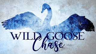 Wild Goose Chase Week 4 [upl. by Dyoll]