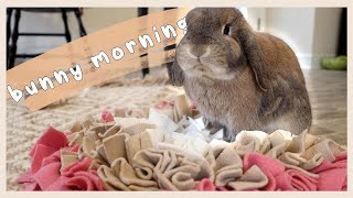 IN DEPTH Bunny Morning Routine [upl. by Notrem963]