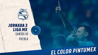 El Color Pintumex vs Santos [upl. by Silecara]