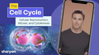 The Cell Cycle Cellular Reproduction Mitosis amp Cytokinesis Explained  Cell Biology [upl. by Fidole]