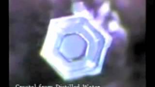 Dr Masaru Emoto Hado Water Crystals Full Documentary [upl. by Azyl739]