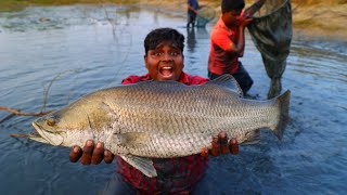 குட்டையை குழப்பி கொடுவாய் மீன் வேட்டைBass Fish HuntingVillage HuntingVillage Food Safari [upl. by Denae571]