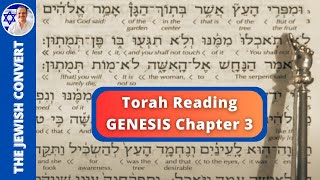 Genesis Chapter 3  Torah Reading in Hebrew with English Translation  TORAH STUDY [upl. by Fital]