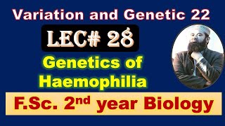 Biology chapter 22 Lecture No28 Genetics of haemophilia FSc 2nd Year [upl. by Noe]