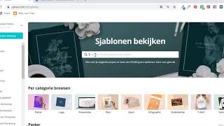 Cv maken in Canva [upl. by Ecienaj]