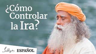 ¿Cómo controlar la ira  Sadhguru [upl. by Pirbhai]