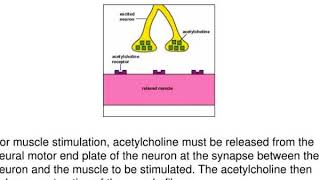 exotoxins cytotoxins neurotoxins enterotoxins enterotoxins [upl. by Corney]