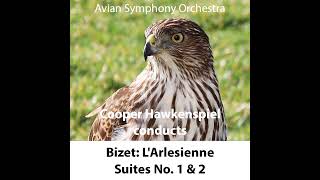 Bizet LArlesienne Suite No 2 IV Farandole  C HAWKENSPIEL [upl. by Hannavahs407]