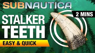 Subnautica Stalker Tooth Location for Enameled glass [upl. by Pryor530]