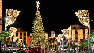 Sorrento accensione Albero di Natale 25 novembre 2023 [upl. by Clywd]