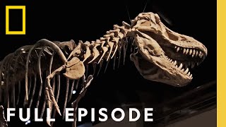 Secrets of the Dinosaurs The Real Jurassic Americas Full Episode  Drain the Oceans [upl. by Arataj]