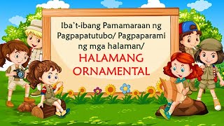 IBA’TIBANG PAMAMARAAN NG PAGTUTUBOPAGPAPARAMI NG MGA HALAMAN AT HALAMANG ORNAMENTAL [upl. by Nuncia]