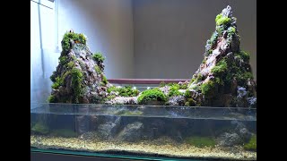 Paludarium 2 Sisi 120x60 Ukuran Besar Moss Asli Tanpa Perawatan Jabodetabek Only Kutualay Custom [upl. by Fidellia426]