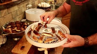 Testing the Cheapest food dehydrator on Amazonlets try mushrooms [upl. by Tesler523]