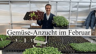 Die ersten Aussaaten des Jahres 🌱 welche Gemüsearten KÖNNEN amp MÜSSEN jetzt schon angebaut werden [upl. by Akvir412]