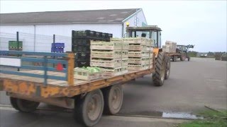 Agriculteurs entre passion et colère  Reportage [upl. by Ecnedurp]