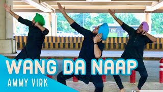 WANG DA NAAP  BHANGRA  AMMY VIRK  SONAM BAJWA  LATEST PUNJABI SONGS 2019  FOLKING DESI [upl. by Eltsyrk]