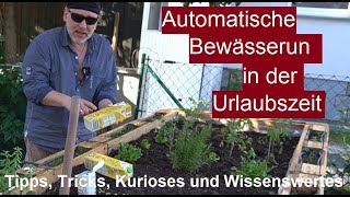 ✅Garten automatisch bewässern während der Urlaubszeit  Selbstbewässerung Pflanzen Gemüse im Urlaub [upl. by Yema]