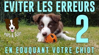 Eviter les ERREURS déducation avec son Chiot Vol2 [upl. by Yraeg]