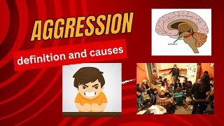 Aggression definition and causes [upl. by Novy]