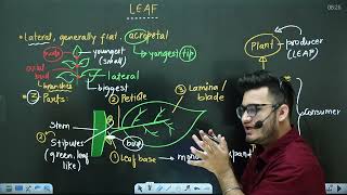 L3 Leaf amp its Modifications  Morphology in Flowering Plants  11th Class Biology ft Hyperbiologist [upl. by Young]