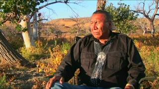 Chief Arvol Looking Horse Speaks of White Buffalo Prophecy [upl. by Thurlow873]