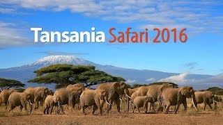 Tansania Safari 2016 [upl. by Ibrik]