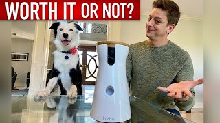 Is the Furbo Dog Camera Really Worth it [upl. by Alena]