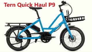 Tern Quick Haul P9 FULL REVIEW New Ebike [upl. by Osicran]