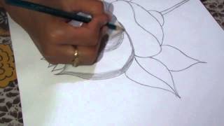 How to Draw and Sketch a Lotus Flower using Pencil [upl. by Yniffit]