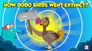 The Mysterious Extinction Of Dodo Birds  Story of Dodo Birds  Extinct Birds  The Dr Binocs Show [upl. by Kinson]