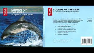 SOUNDS OF THE DEEP  An exploration of life in our seas [upl. by Jahdiel]