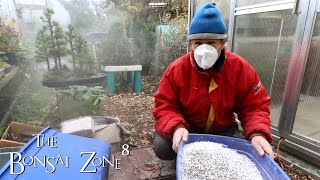 Mixing Up My Bonsai Soil The Bonsai Zone Nov 2021 [upl. by Linet]