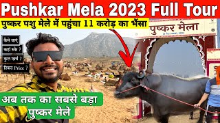 Pushkar Mela 2023 Full Tour  पुष्कर मेला 2023  pushkar mela 2023 live  pushkar mela 2023 horse [upl. by Aviva]