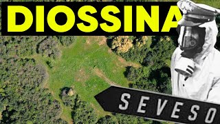 IL PEGGIOR INCIDENTE DITALIA IL DISASTRO DI SEVESO 47 ANNI DOPO  Documentario Icmesa Diossina [upl. by Longtin271]