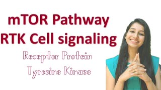 mTOR SignalingRTK pathwaycell signalingCSIRgateiitjamdbticmrICARlife sciencebansal Biology [upl. by Gaige]