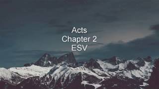 Acts  Chapter 2 ESV [upl. by Ahtaga]