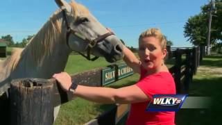 Former movie critic works to preserve horse racing history with farm [upl. by Wainwright]