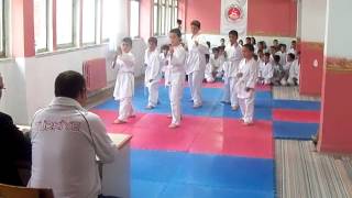 Karate Kursu Kuşak Sınavı [upl. by Francklin528]