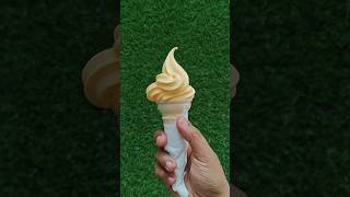 Best Softy Ice Cream Machine  Ice Creams  Softy Ice Cream  ice cream  Softy Machine  food [upl. by Kiki]