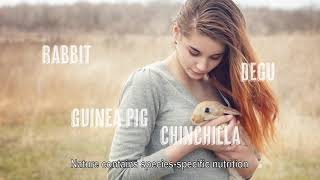 VerseleLaga Nature – a new generation muesli for your animal [upl. by Celine524]