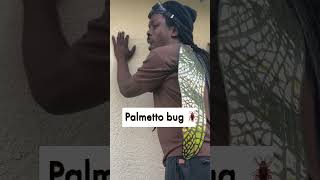 Palmetto bug vs Floridians omgitswicks florida comedy [upl. by Notlih]