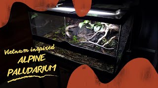 VietnamInspired Alpine Paludarium  Build video [upl. by Broddy]