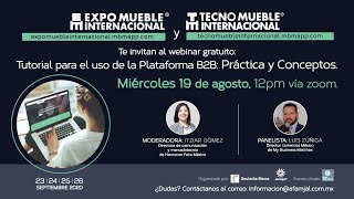 Webinar Tutorial para el uso de la plataforma B2B Práctica y Conceptos [upl. by Akcinehs]