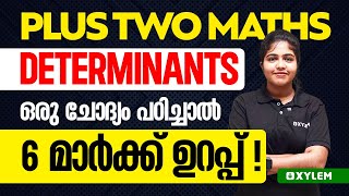 Plus Two Maths  Determinants  ഒരു ചോദ്യം പഠിച്ചാൽ 6 മാർക്ക് ഉറപ്പ്  Xylem Plus Two [upl. by Zanas]